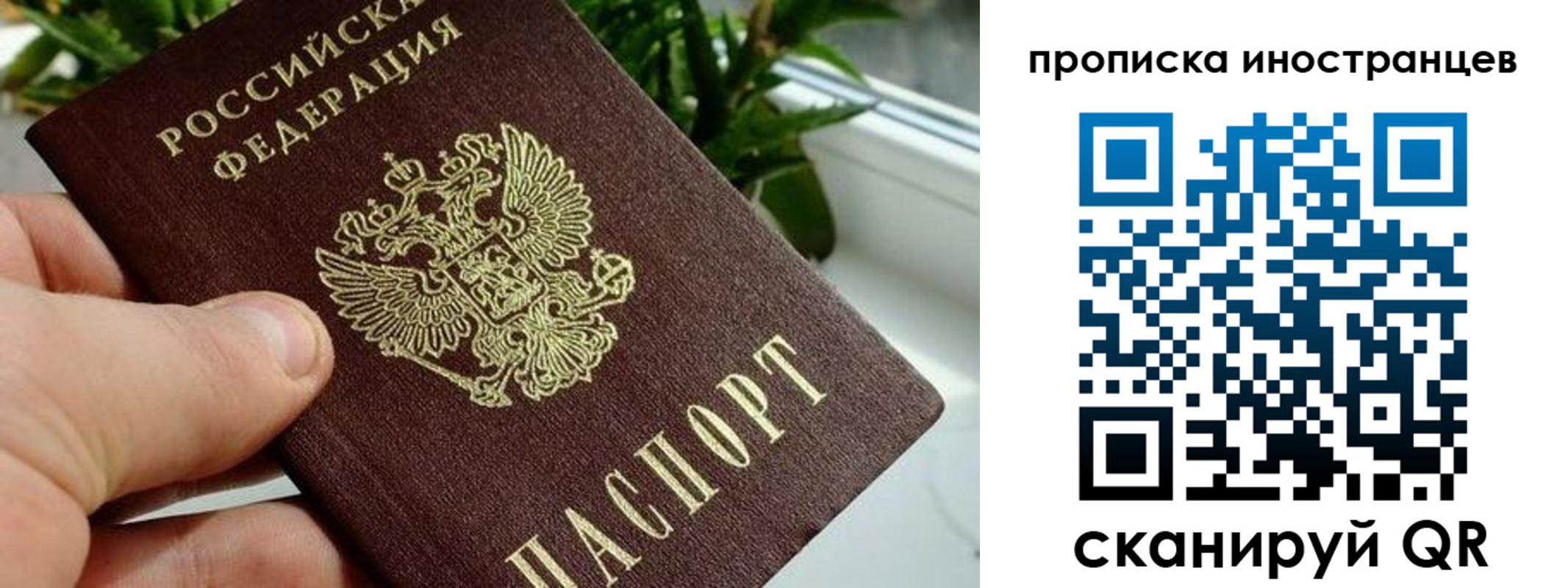 временная регистрация в Звенигово