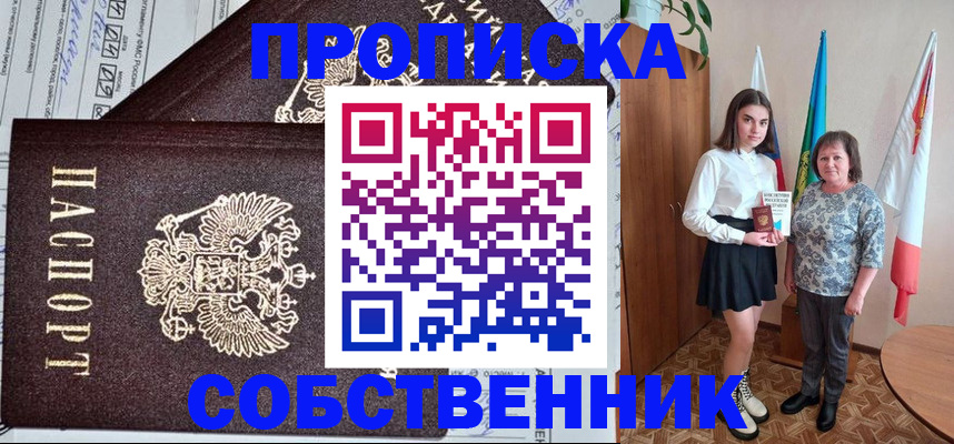 временная регистрация поиск в Звенигово